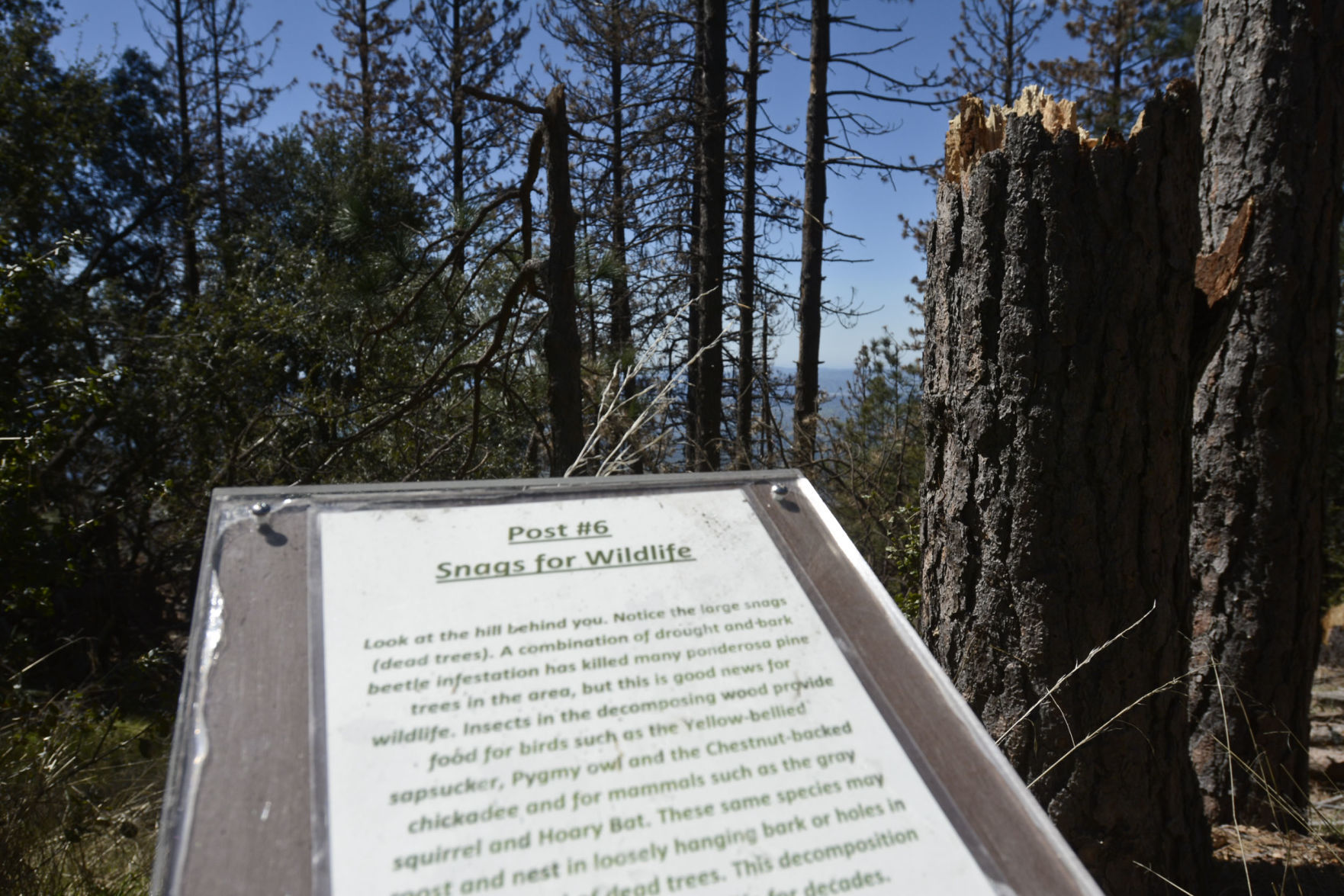 032818 Prescribed burn 11.jpg